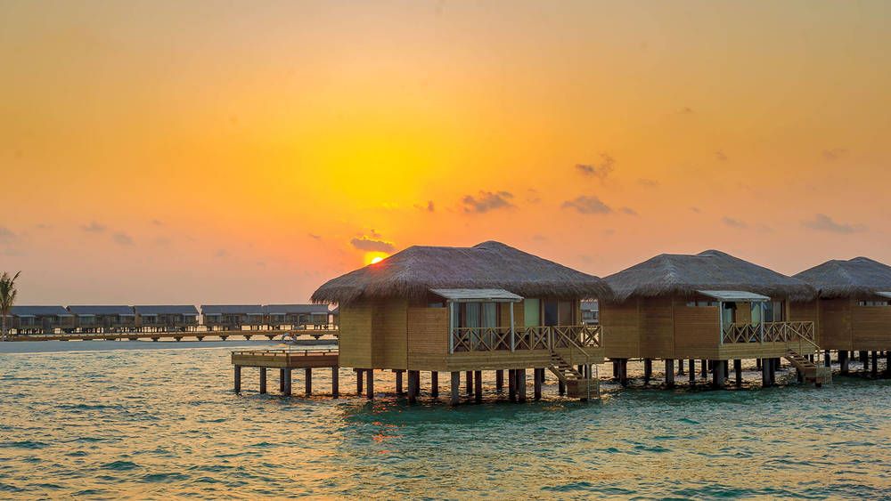 YOU & ME BY COCOON (only adults 16+) - 48