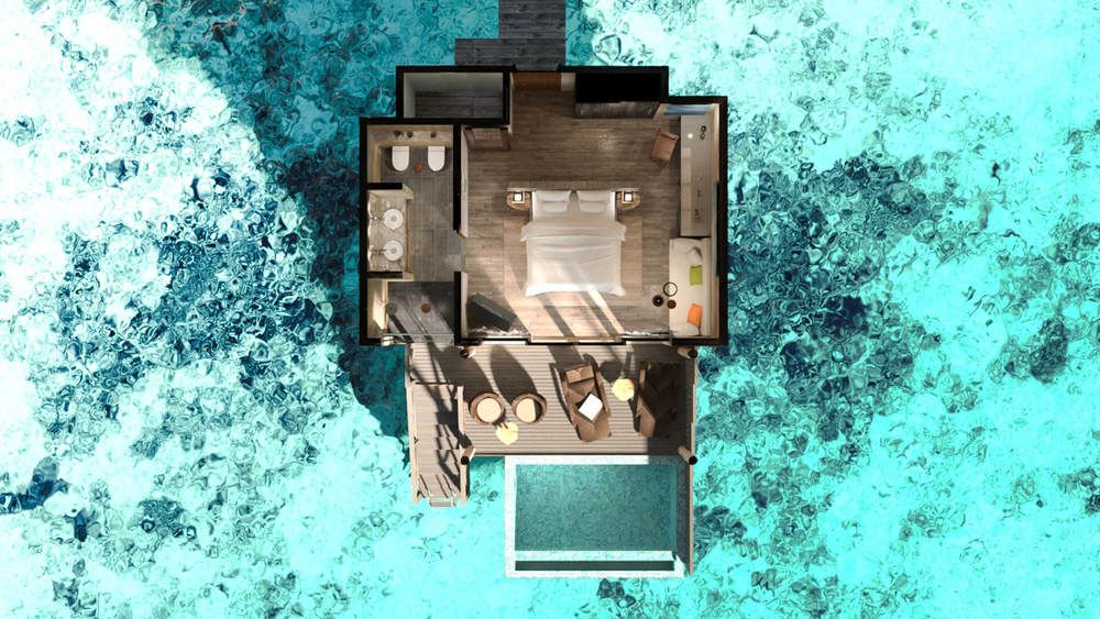 YOU & ME BY COCOON (only adults 16+) - 25