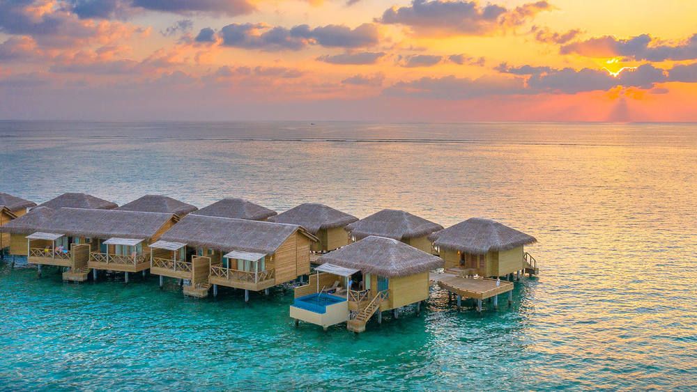 YOU & ME BY COCOON (only adults 16+) - 24