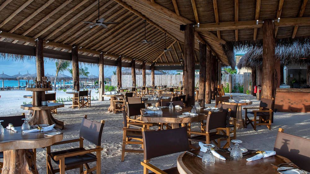 YOU & ME BY COCOON (only adults 16+) - 17