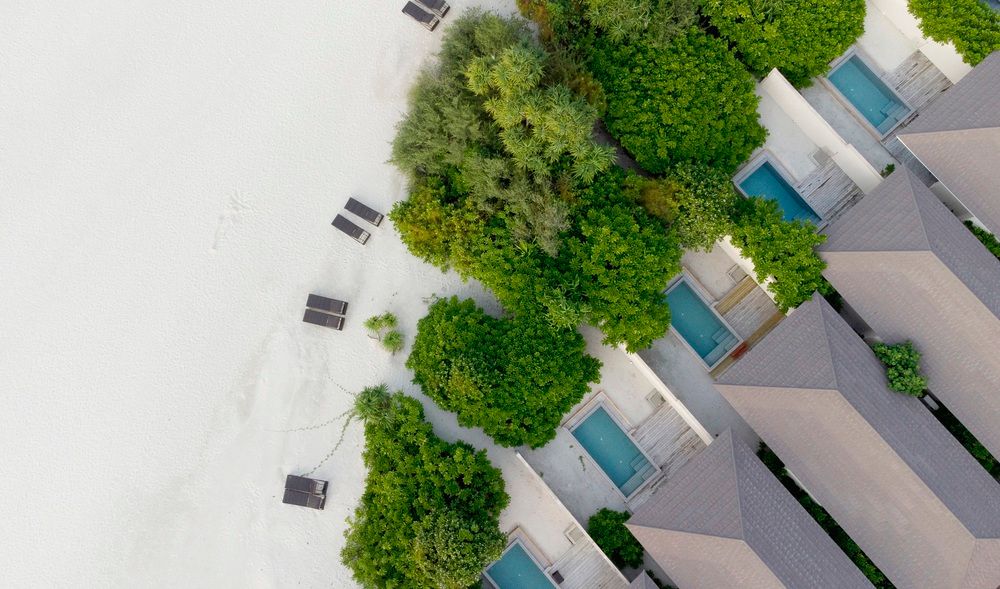 BRENNIA KOTTEFARU - 3