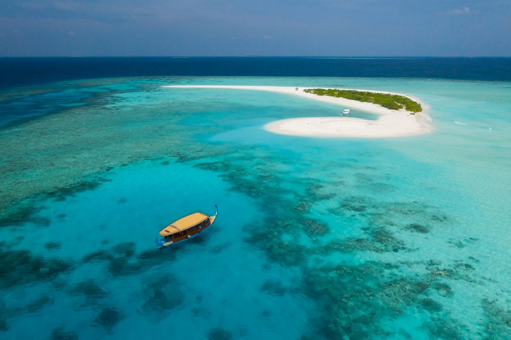 BRENNIA KOTTEFARU - 2