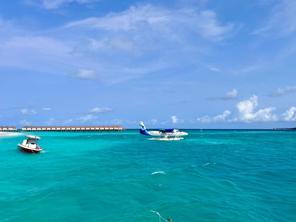 BRENNIA KOTTEFARU - 5