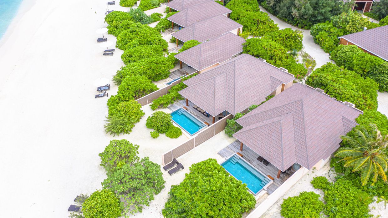 BRENNIA KOTTEFARU - 4