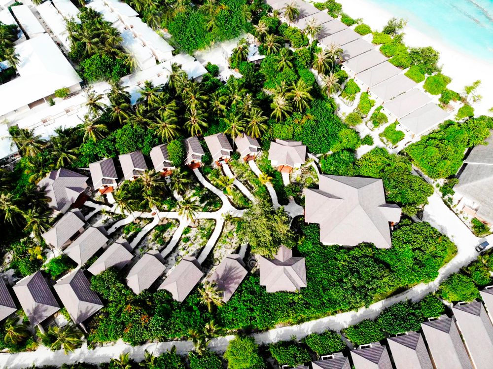 BRENNIA KOTTEFARU - 36