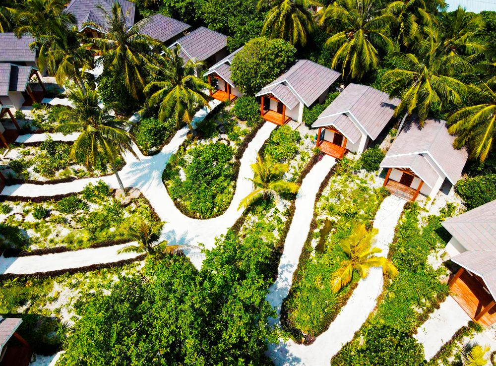 BRENNIA KOTTEFARU - 35