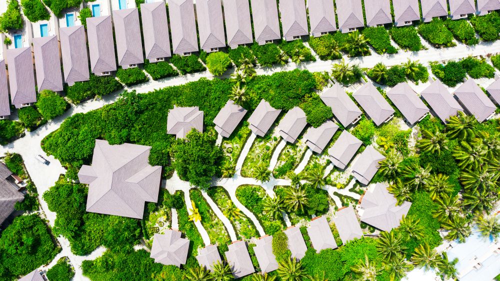 BRENNIA KOTTEFARU - 34