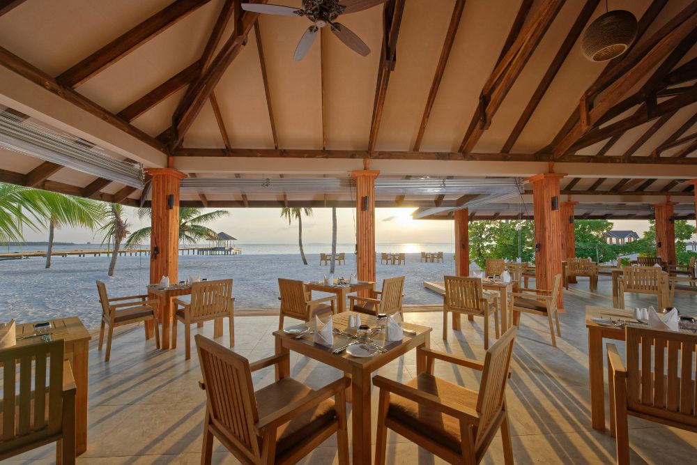 BRENNIA KOTTEFARU - 29