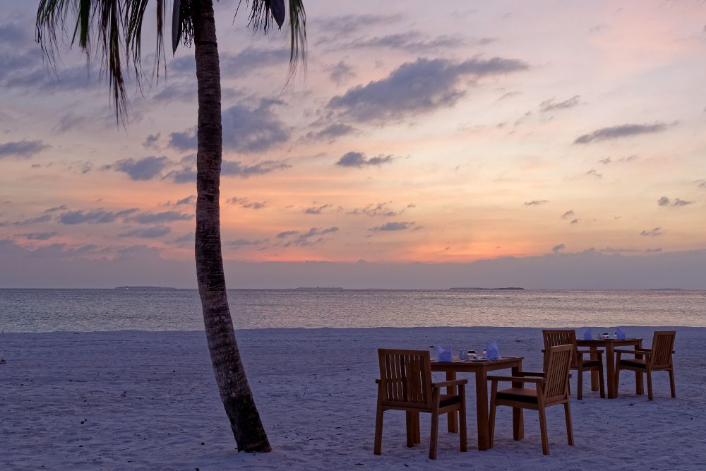 BRENNIA KOTTEFARU - 28