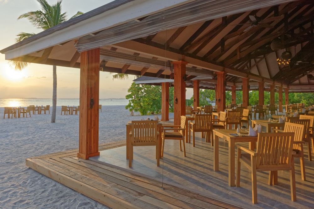 BRENNIA KOTTEFARU - 27