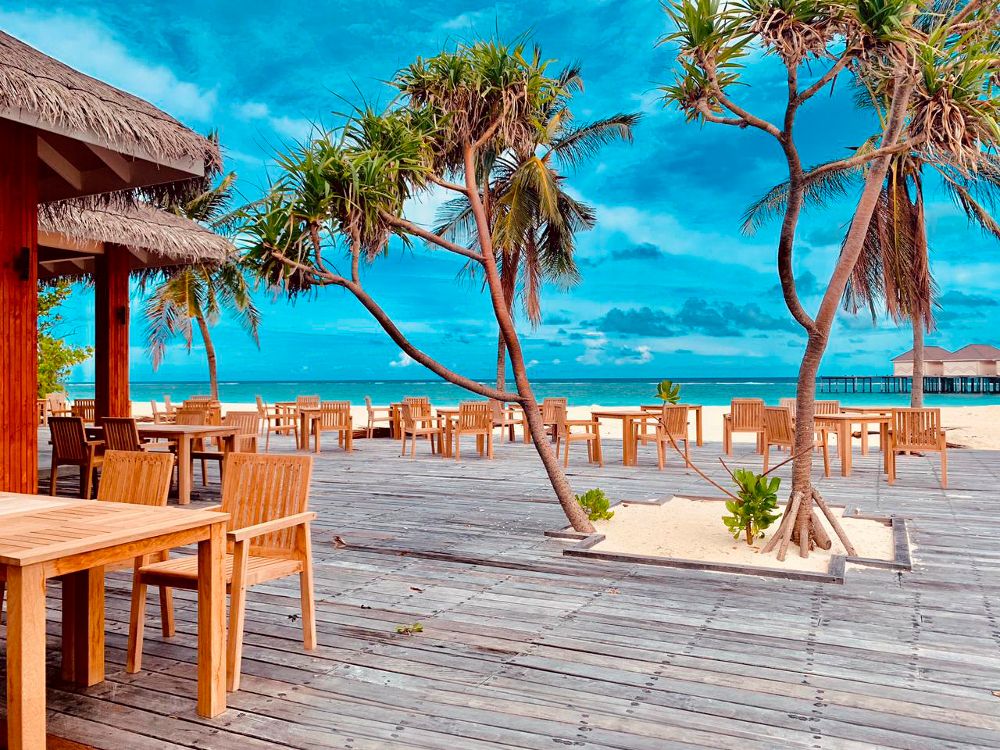 BRENNIA KOTTEFARU - 23