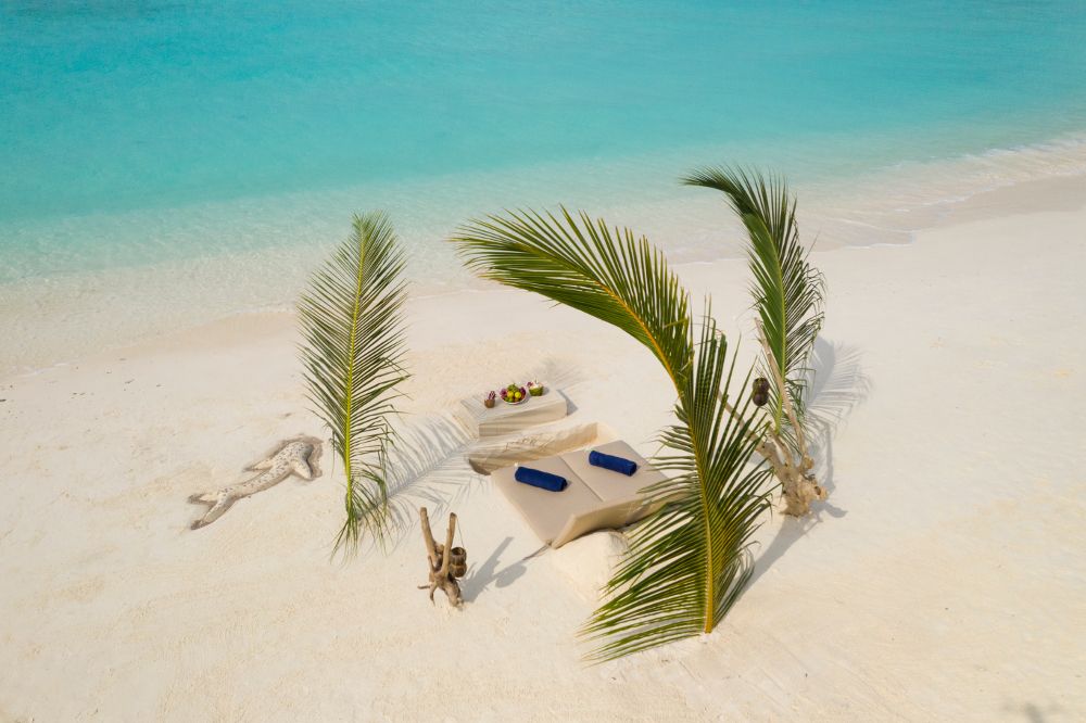 BRENNIA KOTTEFARU - 19