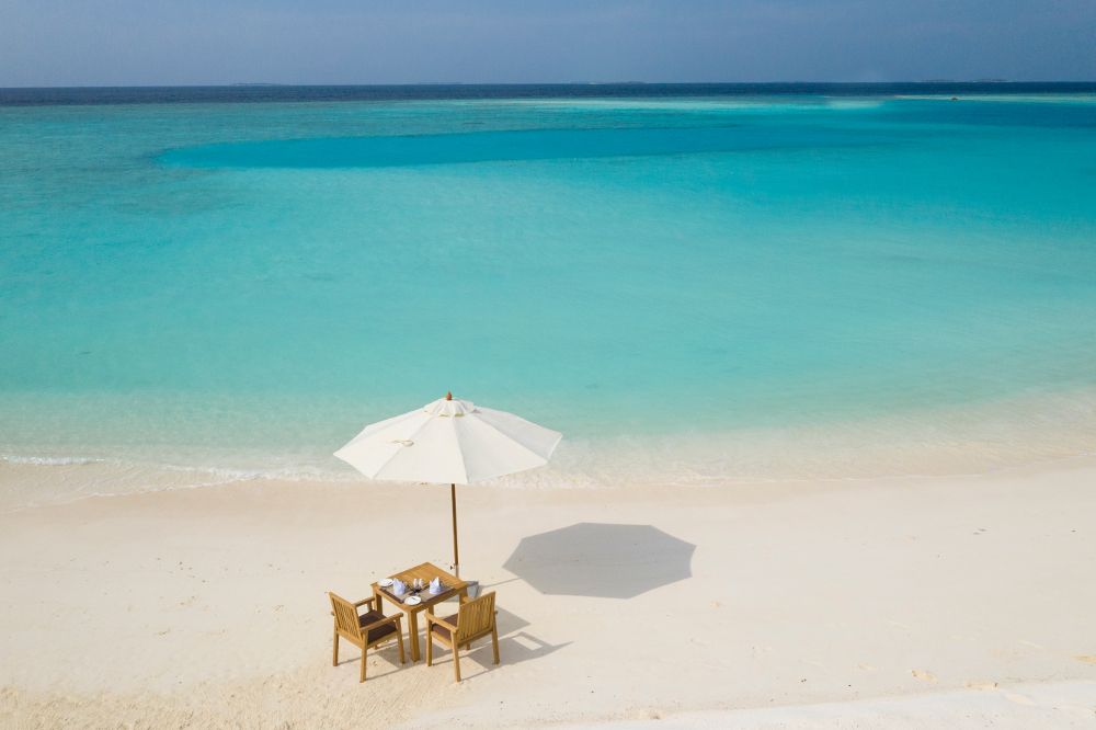 BRENNIA KOTTEFARU - 18