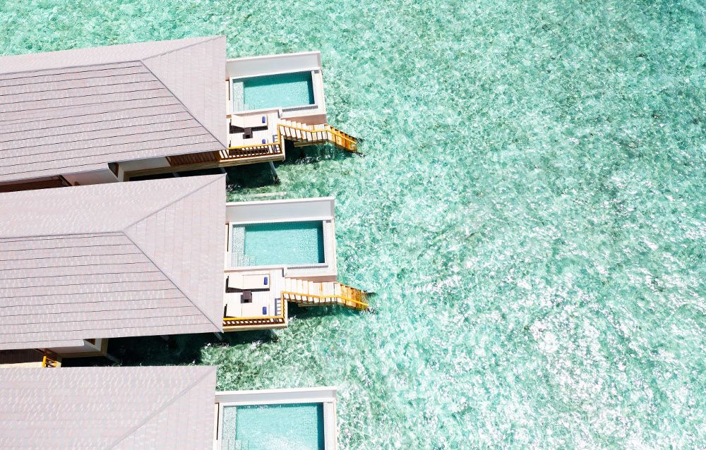 BRENNIA KOTTEFARU - 60