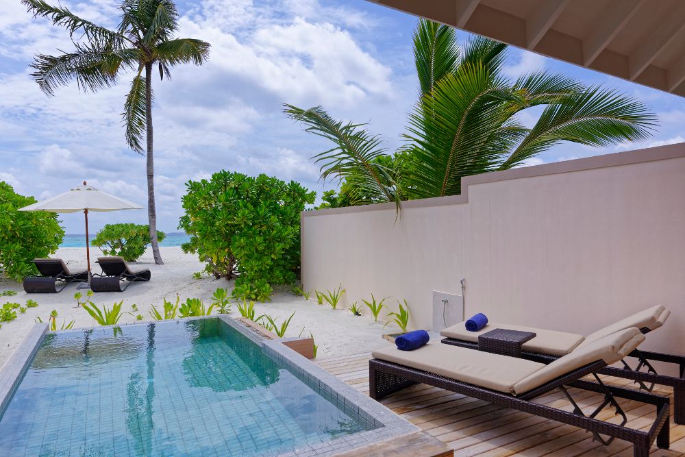 BRENNIA KOTTEFARU - 50