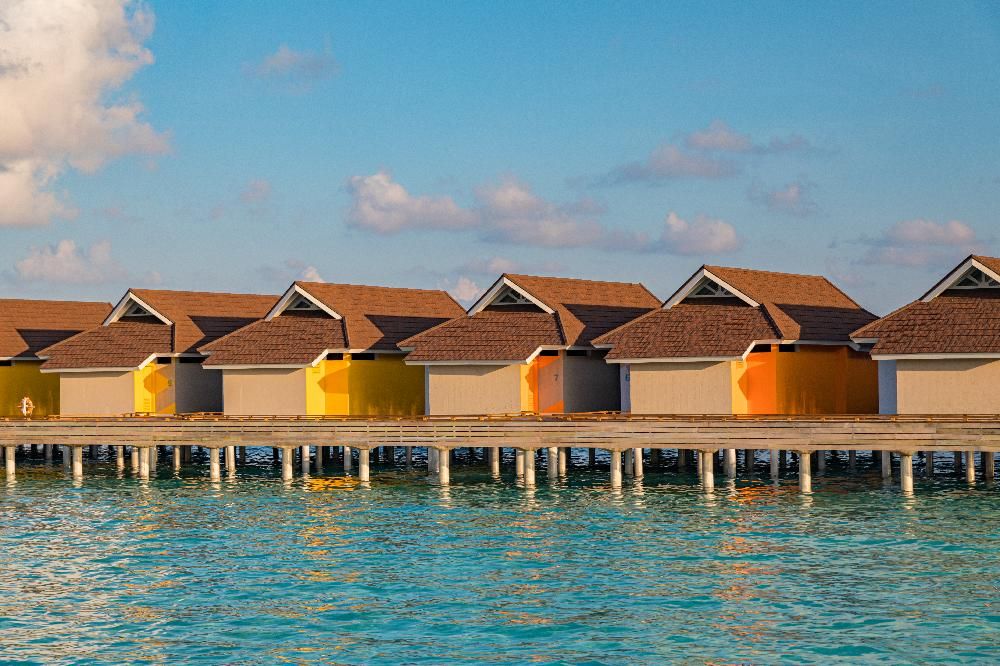 Картинка отеля - 142