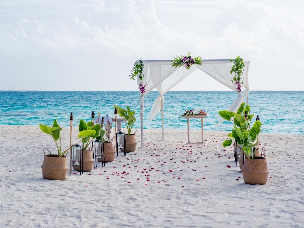 Картинка отеля - 82