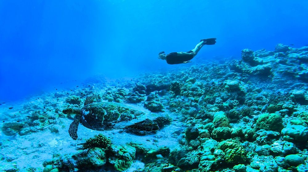 THE STANDARD HURUVALHI - 65