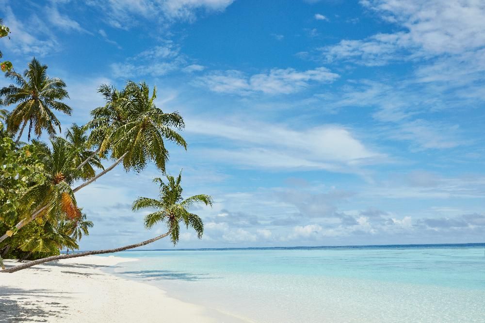 SUN SIYAM VILU REEF  - 10