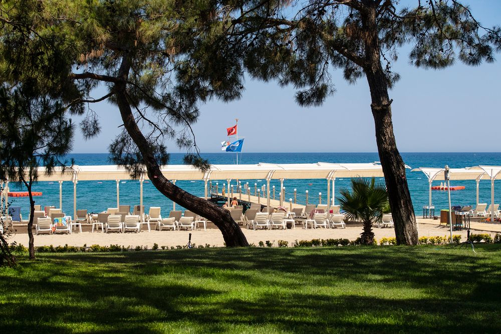 Картинка отеля - 78