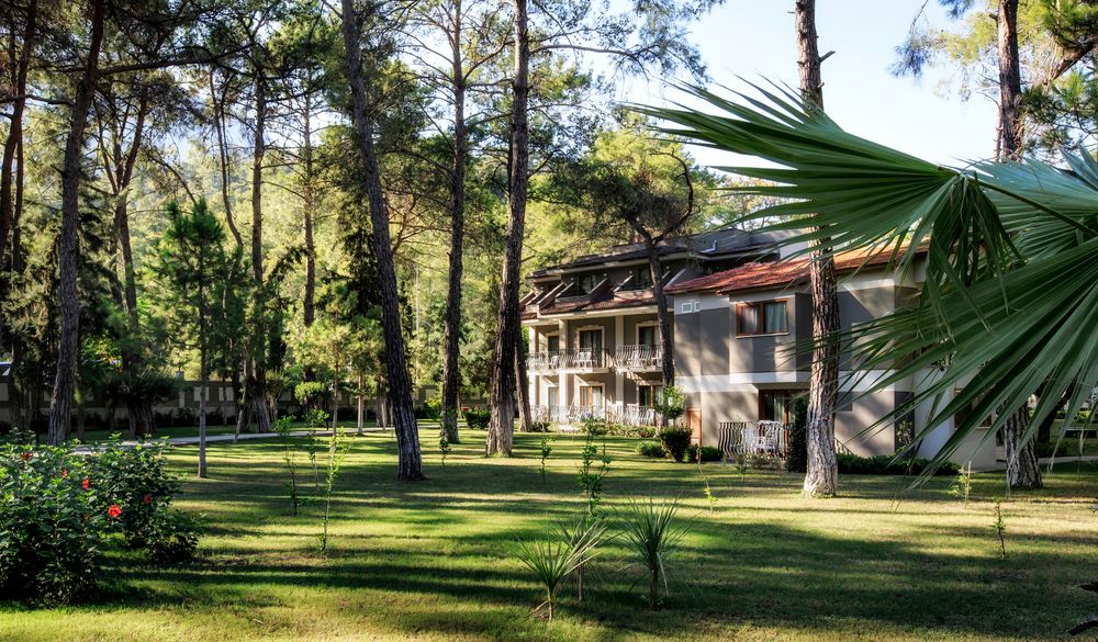 Kimeros Park Holiday Village - 8