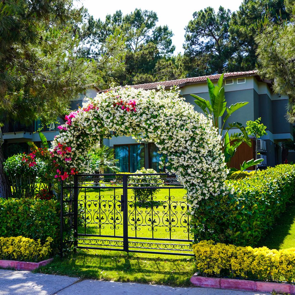 Картинка отеля - 7