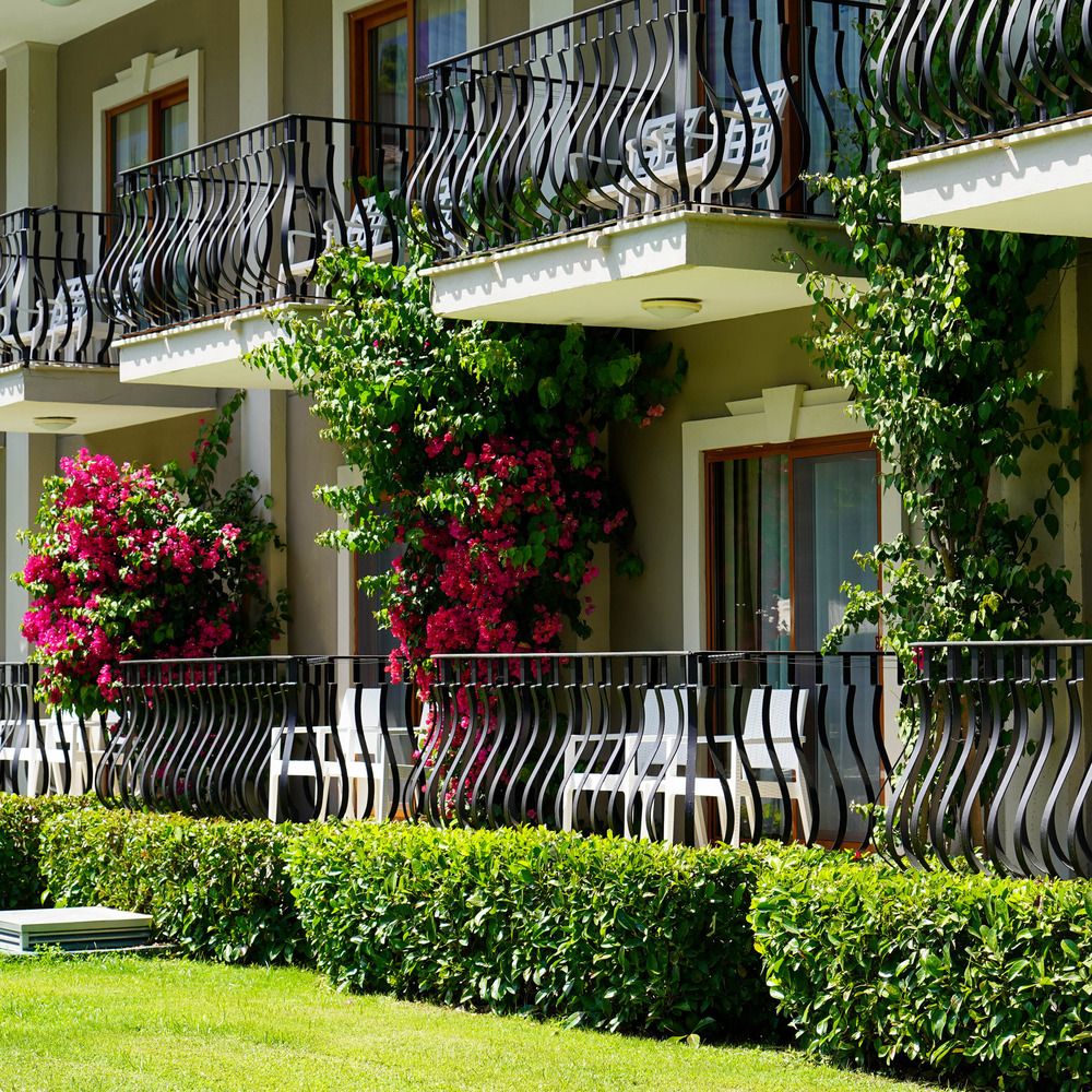 Картинка отеля - 6