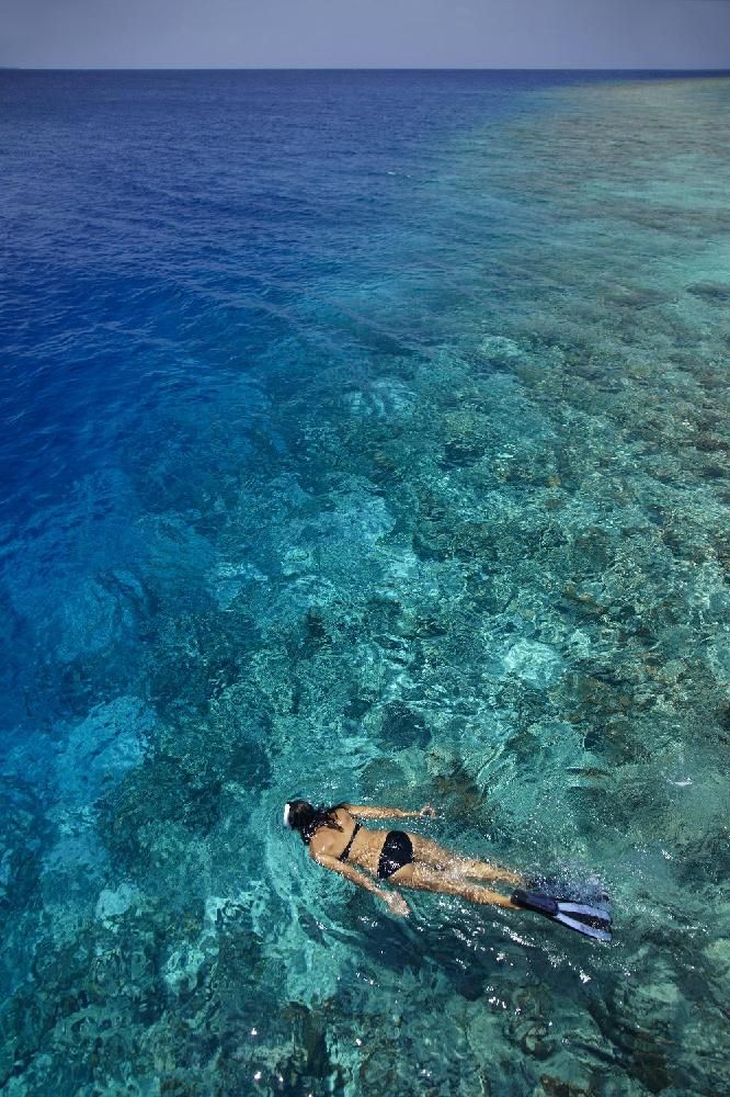 DUSIT THANI MALDIVES - 50