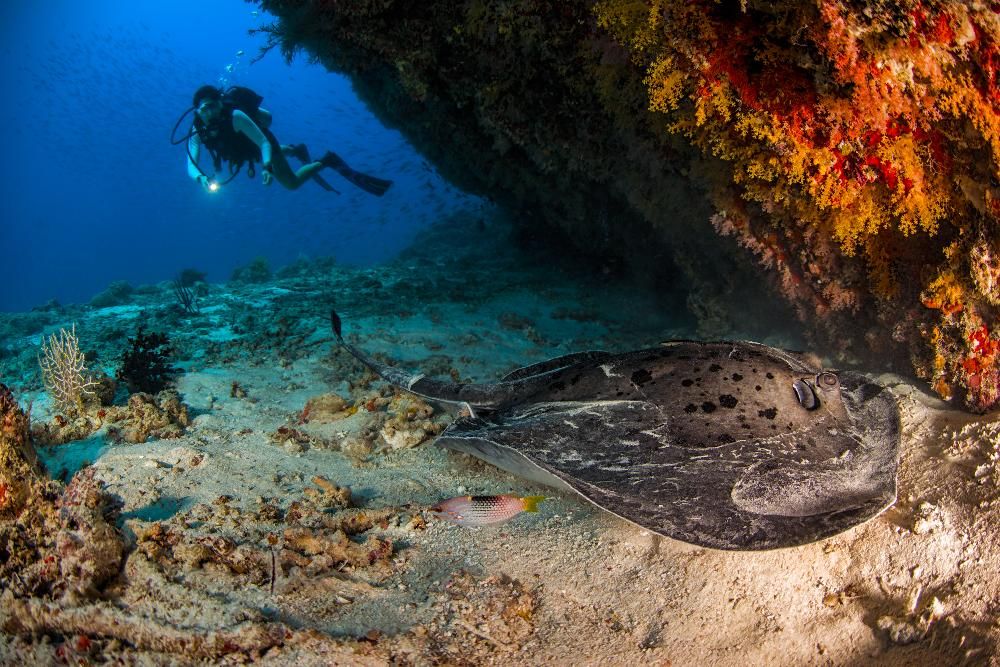 DUSIT THANI MALDIVES - 39