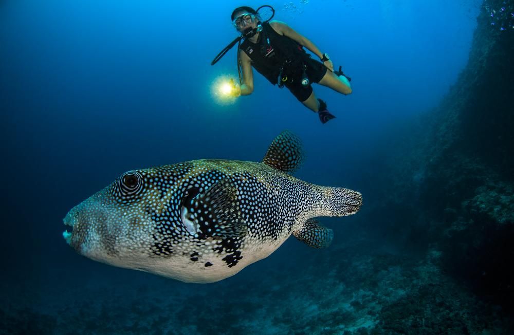 DUSIT THANI MALDIVES - 35
