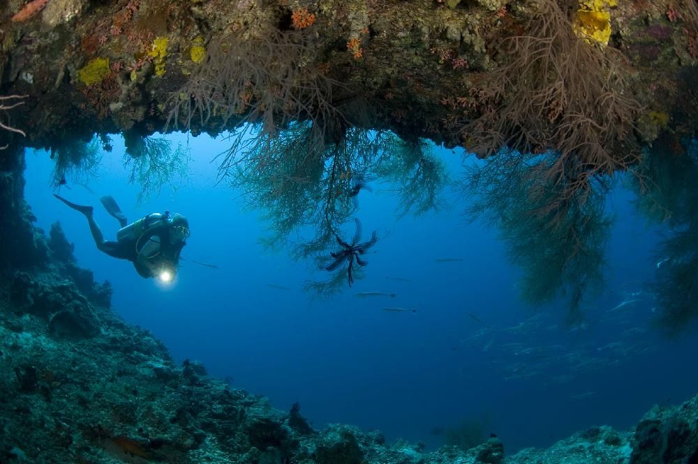 DUSIT THANI MALDIVES - 32