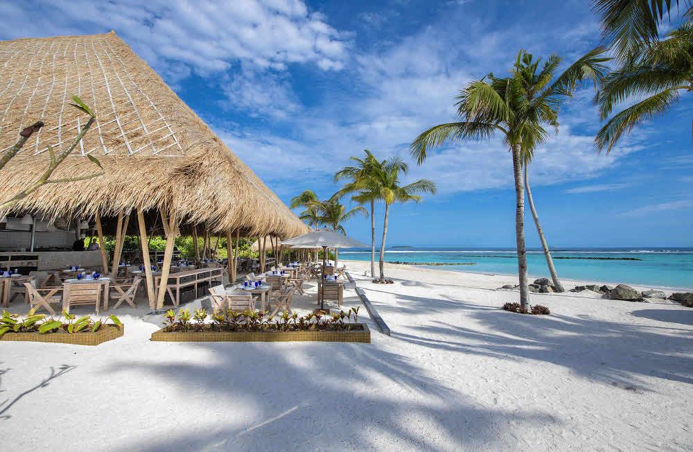 Картинка отеля - 38