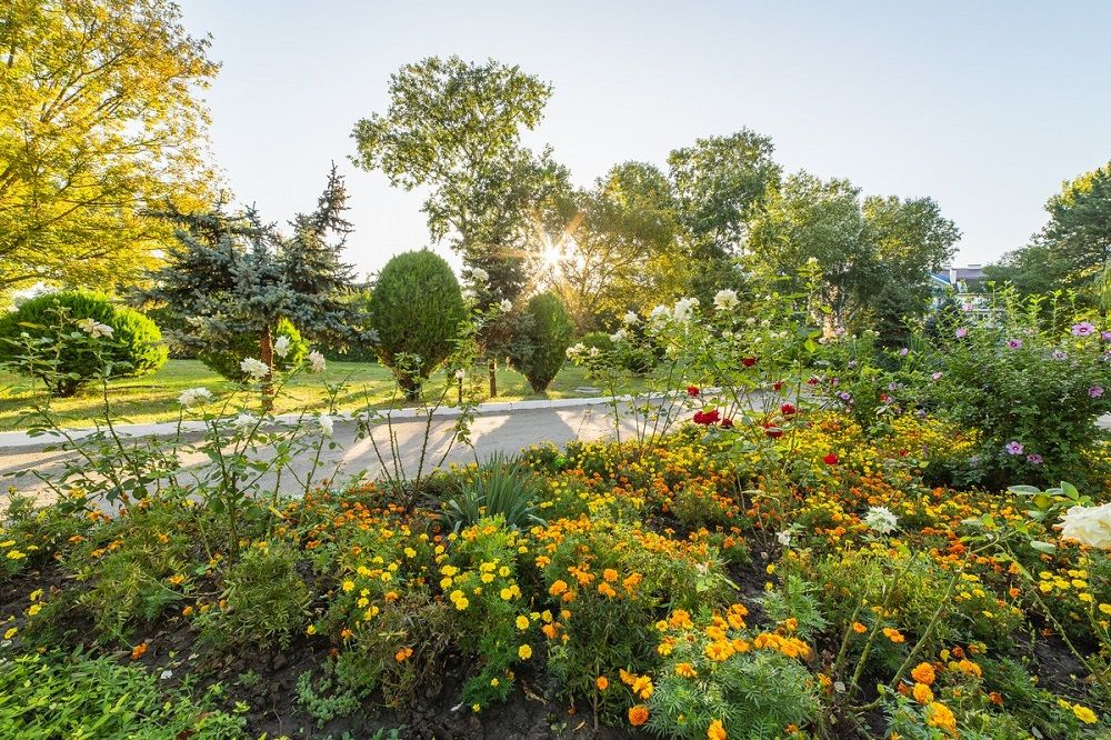 ДЖЕМЕТЕ, отель - 14