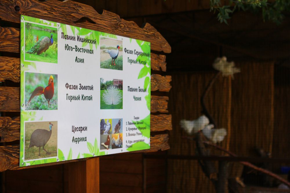 ФЕЯ SUNCLUB RESORT & SPA, отель (бывш. ФЕЯ-3) - 29