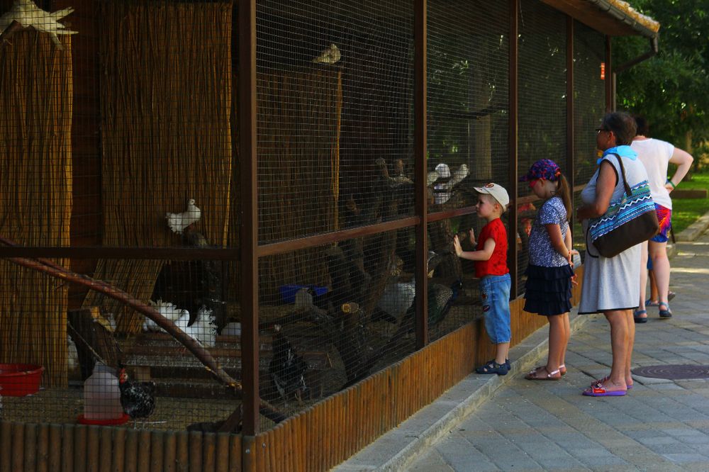 ФЕЯ SUNCLUB RESORT & SPA, отель (бывш. ФЕЯ-3) - 30