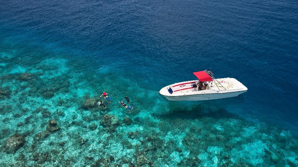 Картинка отеля - 91