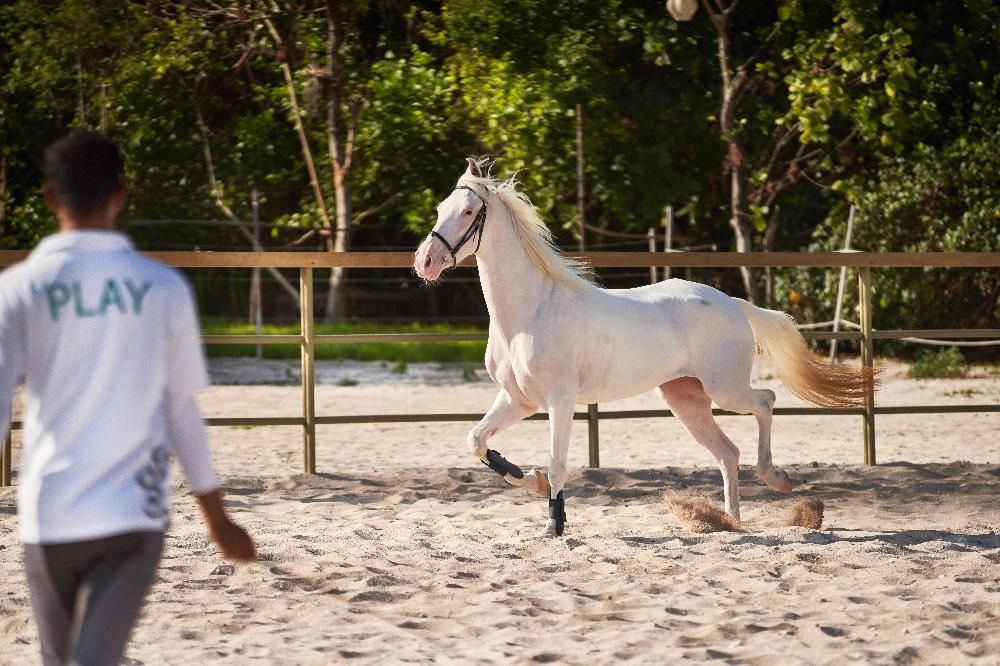 Картинка отеля - 54