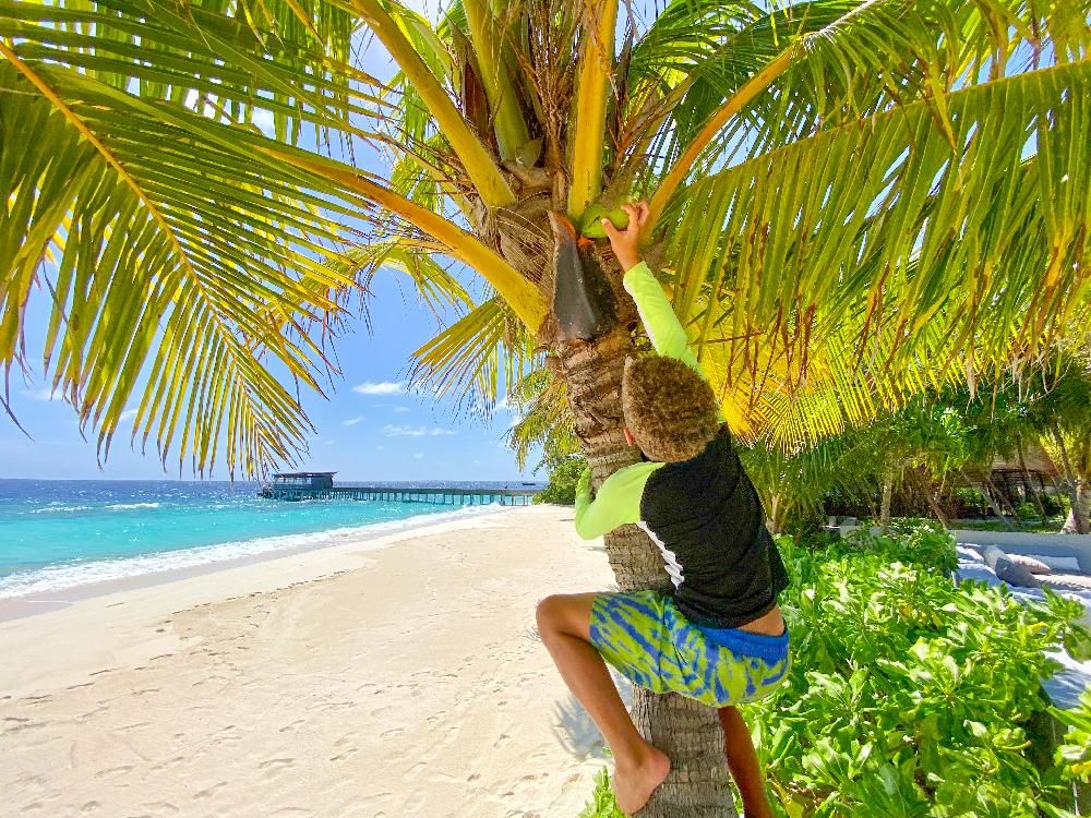 Картинка отеля - 77