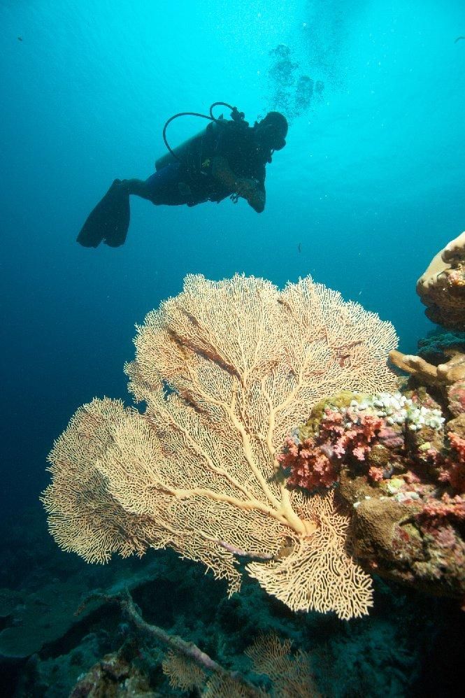 PARK HYATT MALDIVES HADAHAA  - 57