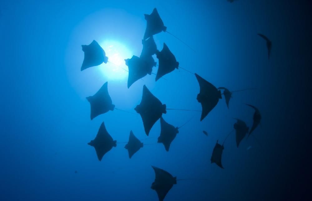 Картинка отеля - 54