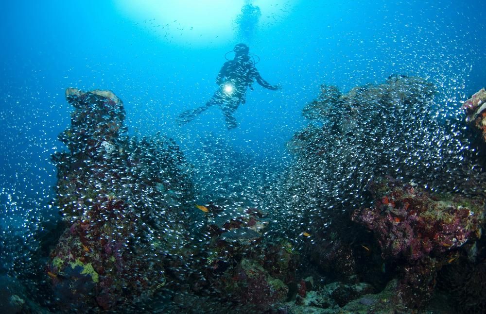 PARK HYATT MALDIVES HADAHAA  - 52