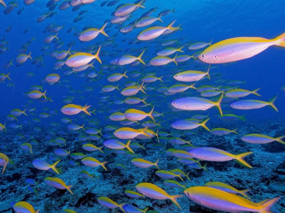 Картинка отеля - 51