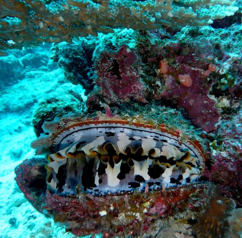 Картинка отеля - 49