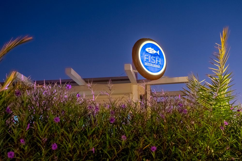 Картинка отеля - 81