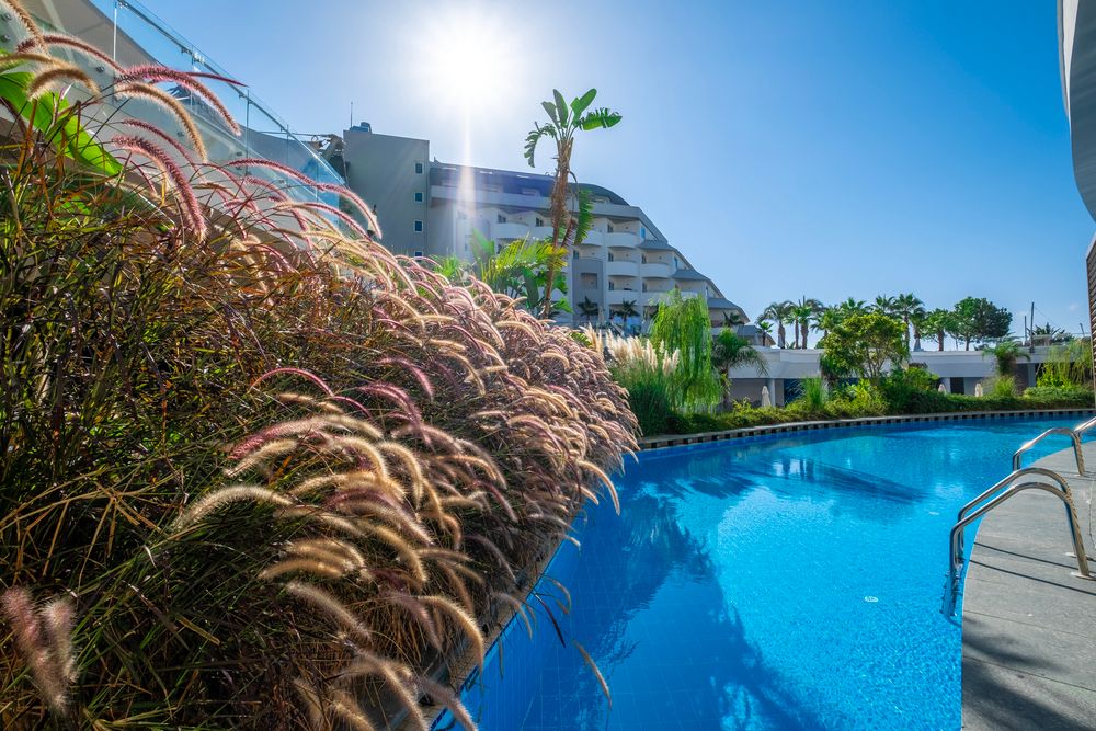 Картинка отеля - 27