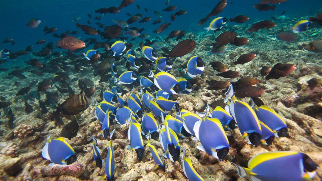 HURAWALHI ISLAND RESORT (only adult 15+) - 22