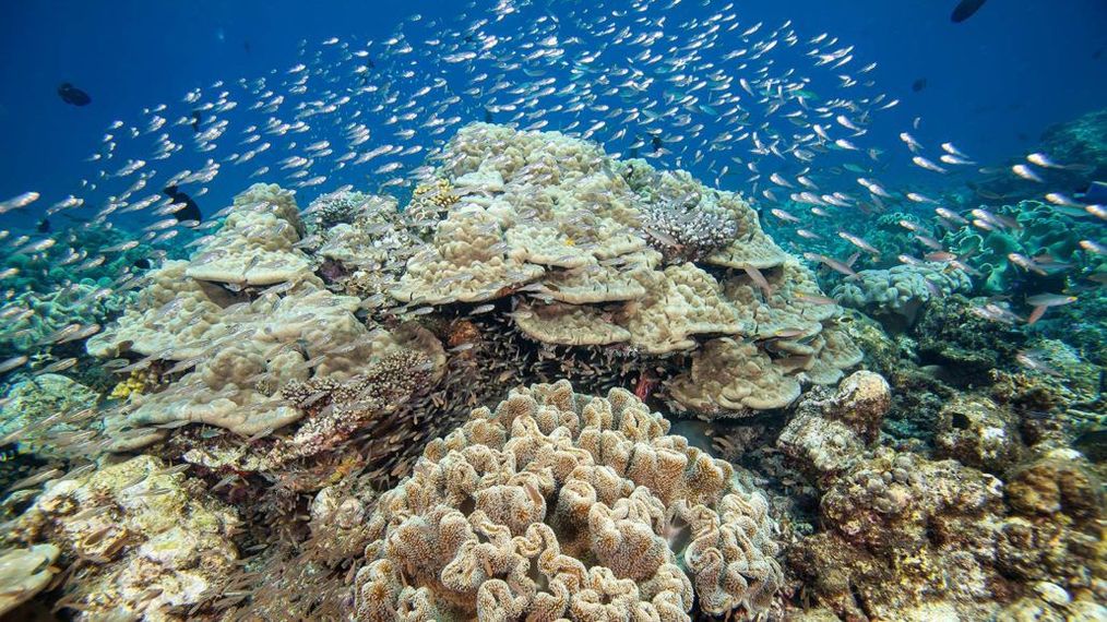 Картинка отеля - 20