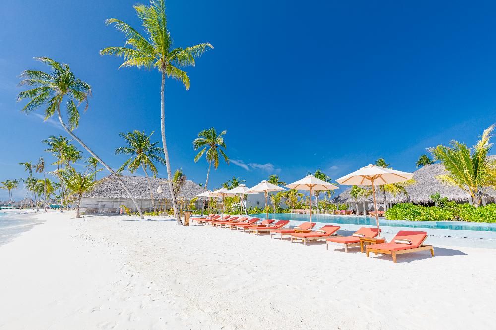 Картинка отеля - 11