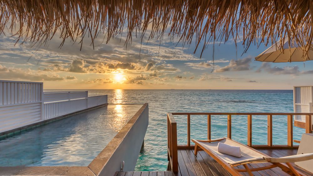 OZEN LIFE MAADHOO - 50