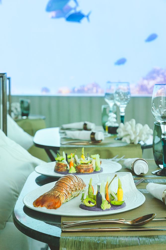 OZEN LIFE MAADHOO - 15